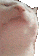 :catJAM: