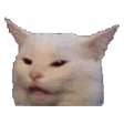 confusedcat7 Discord Emoji