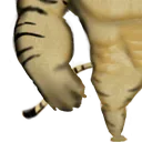 BuffDogejiit_3 BuffDogejiit_3