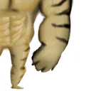 BuffDogejiit_4 BuffDogejiit_4