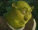 shrek_oo