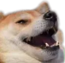 jaj