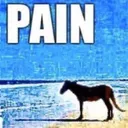 pain pain
