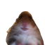 facetime Discord emoji