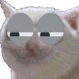 suscat Discord emoji