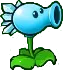 snow_pea