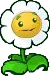 marigold