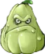 squash squash