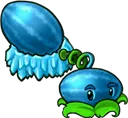 winter_melon