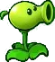 peashooter