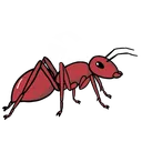 3Ant