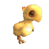 SA_chickenwalk