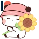 meoflora