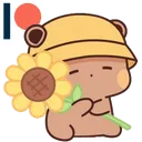 lanflora