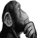 monke_think