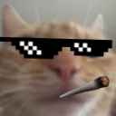 sadkat2 Discord emoji