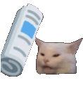 boi