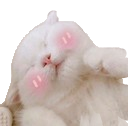 blushcat_TO Discord emoji