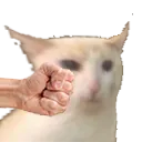 punchcat2 punchcat2