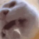 SClick