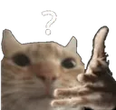 ola