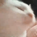 boof Discord emoji