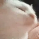 Boof bOOf Discord Emoji