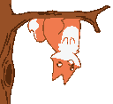 Skyfox_TreeHang