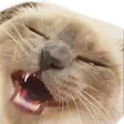 merlinRee