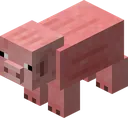 pig