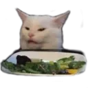 SaladCat