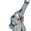 ToruYay1