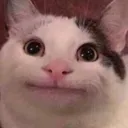 mayhaps