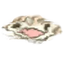 meltbano