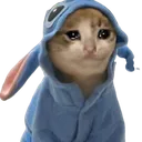 stitchsadcat stitchsadcat