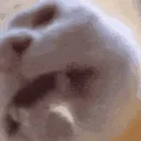 Lick