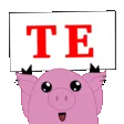 temazo temazo