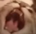 ANGYAAAA