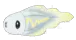 Tynamo
