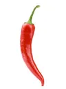 chillipepper