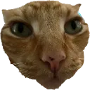 catHole