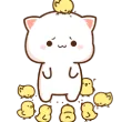 nyaChicks