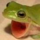 surprisedfrog Discord emoji