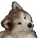 :husky_MJ: husky_MJ