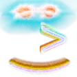 god