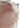 catJAM