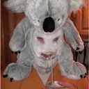 koala_sip