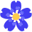 flower_dark_blue Discord emoji