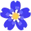 flower_dark_blue Discord Emoji