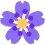 flower_blurple Discord emoji